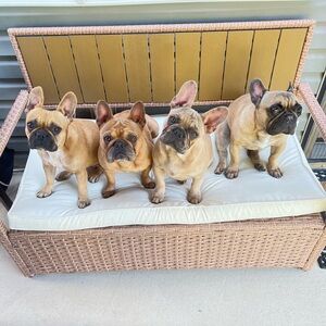 Meet your Posher, Maria